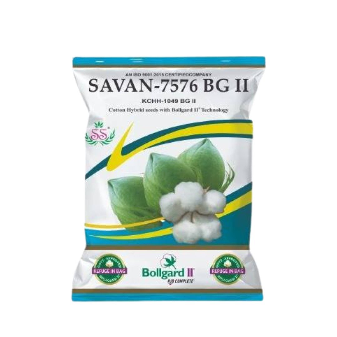 Savan – 7576 BG II